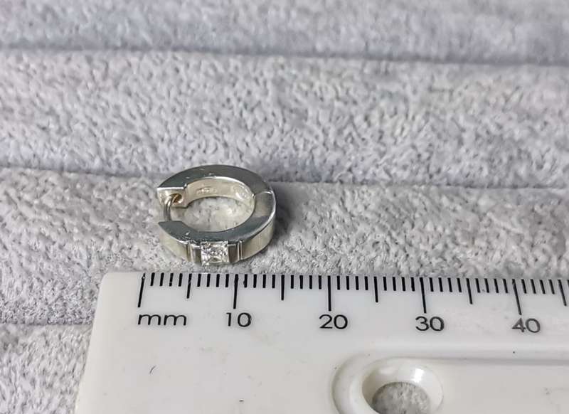 Silver Hoop Earrings