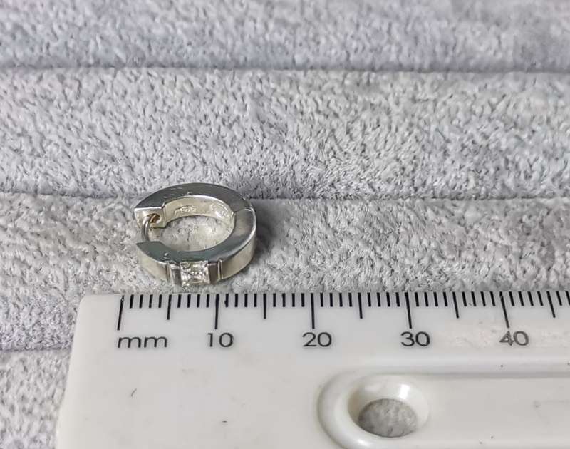 Silver Hoop Earrings