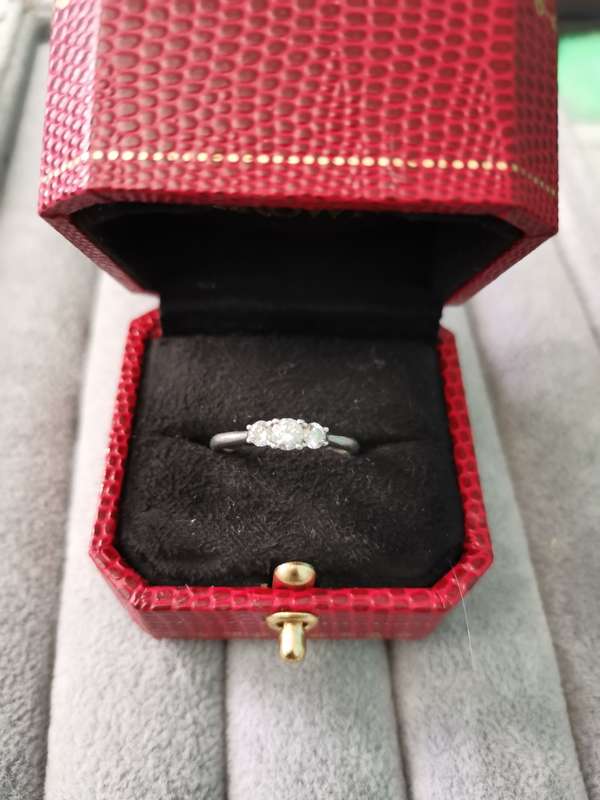 BROWNS Platinum Claw Set Protea Trilogy Ring