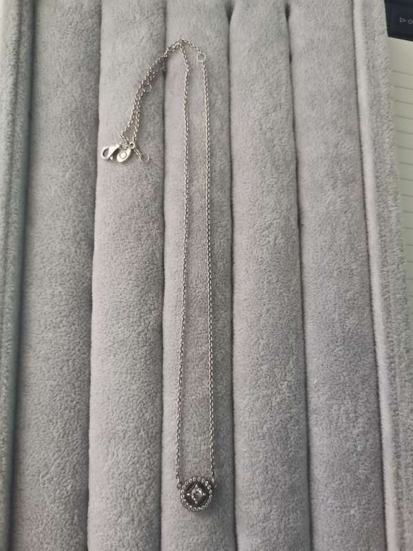 Silver Pandora Necklace
