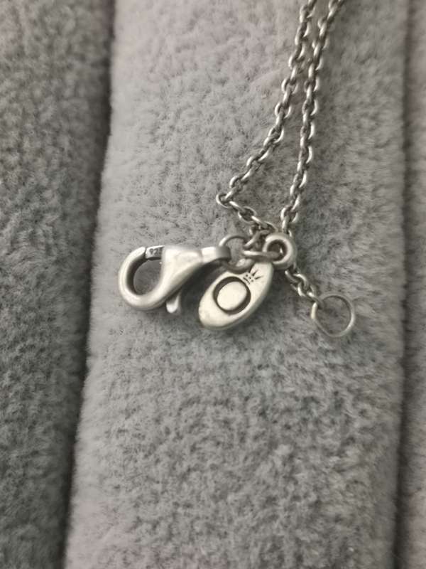 Silver Pandora Necklace