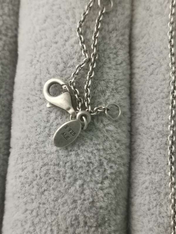 Silver Pandora Necklace