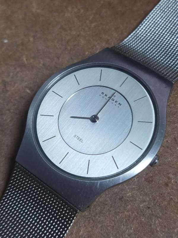 Skagen Denmark Steel Watch