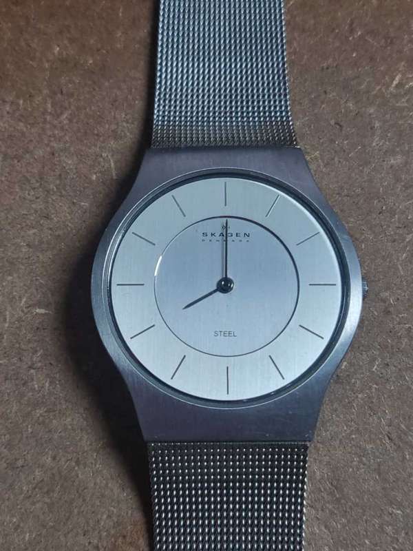 Skagen Denmark Steel Watch