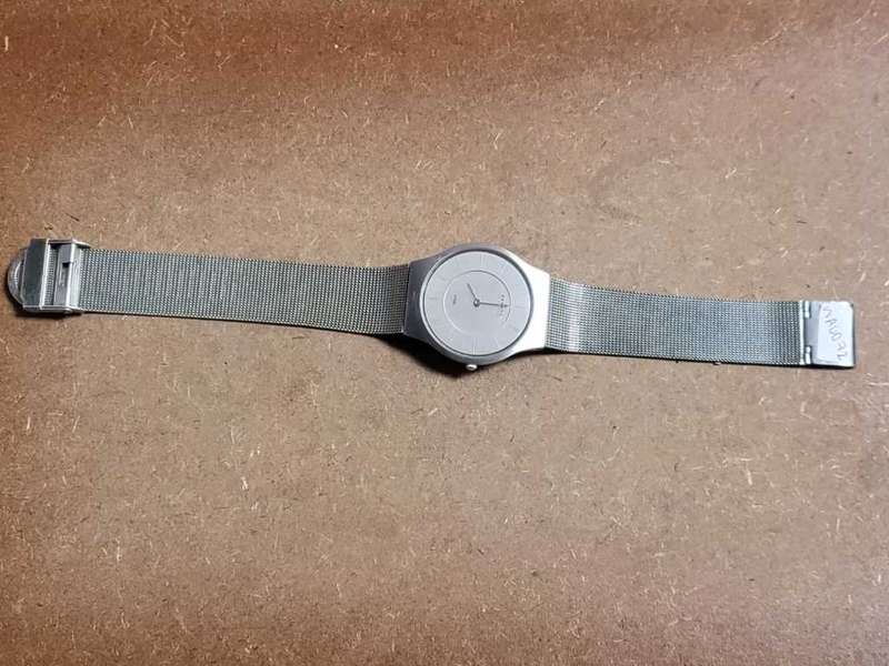 Skagen Denmark Steel Watch