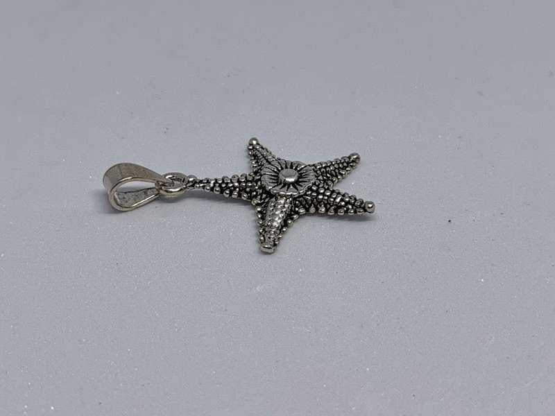 Silver Sea star Pendant