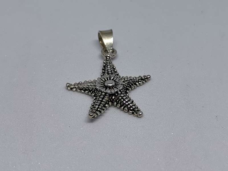 Silver Sea star Pendant