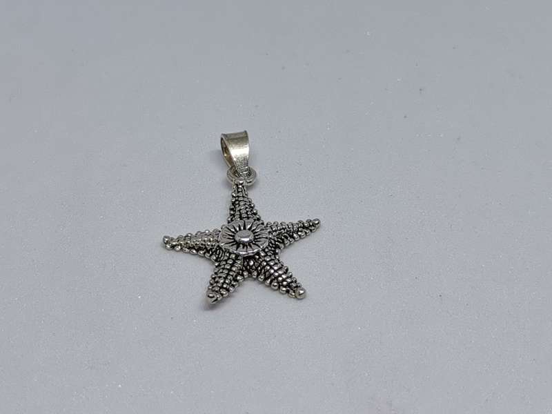Silver Sea star Pendant