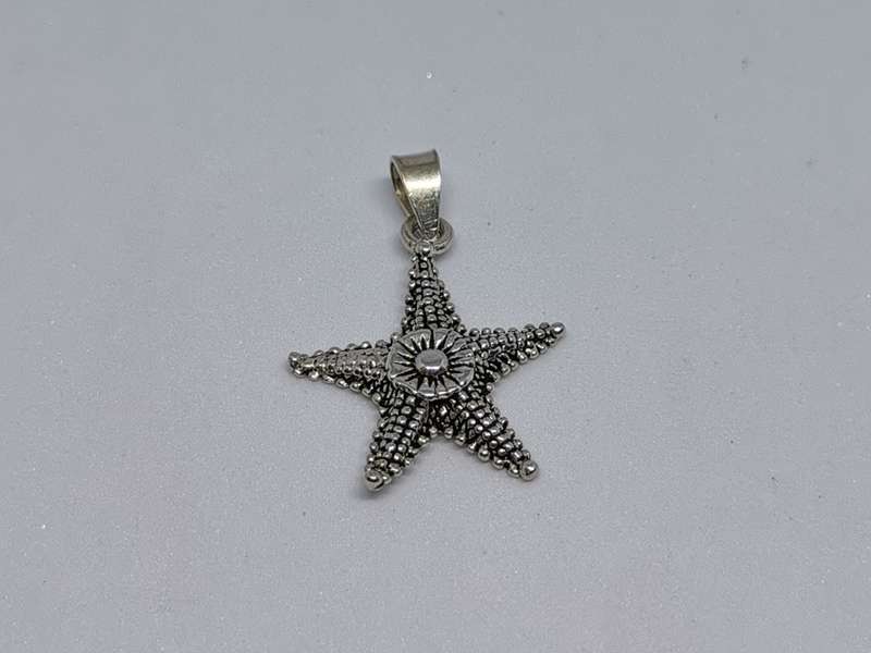 Silver Sea star Pendant