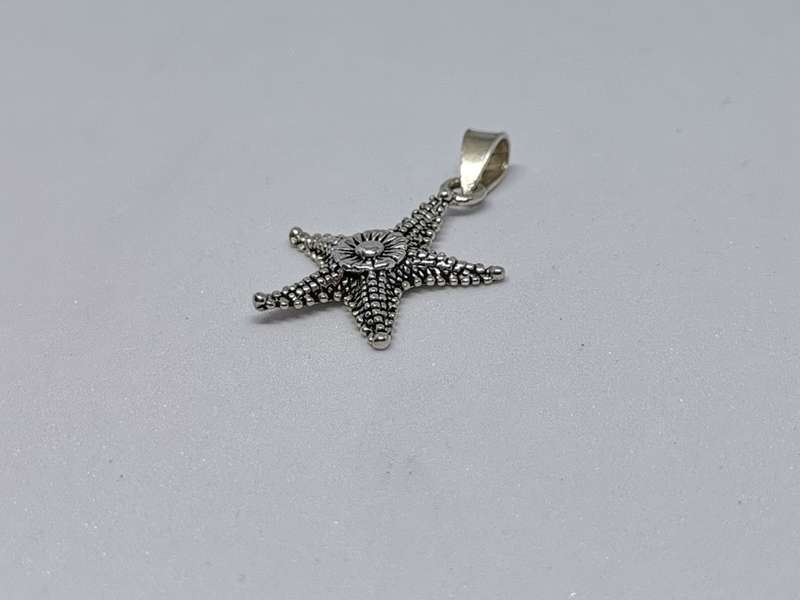 Silver Sea star Pendant
