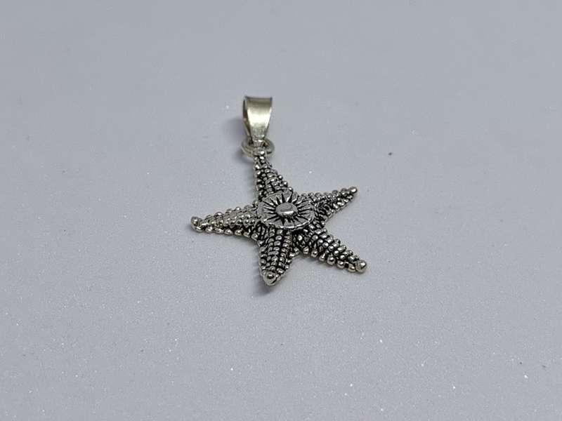 Silver Sea star Pendant
