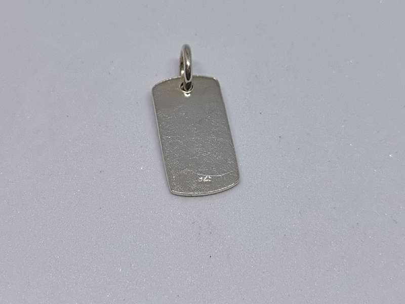 Silver Emergency Pendant