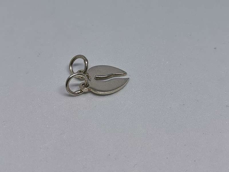Silver Share with Partner Charm
