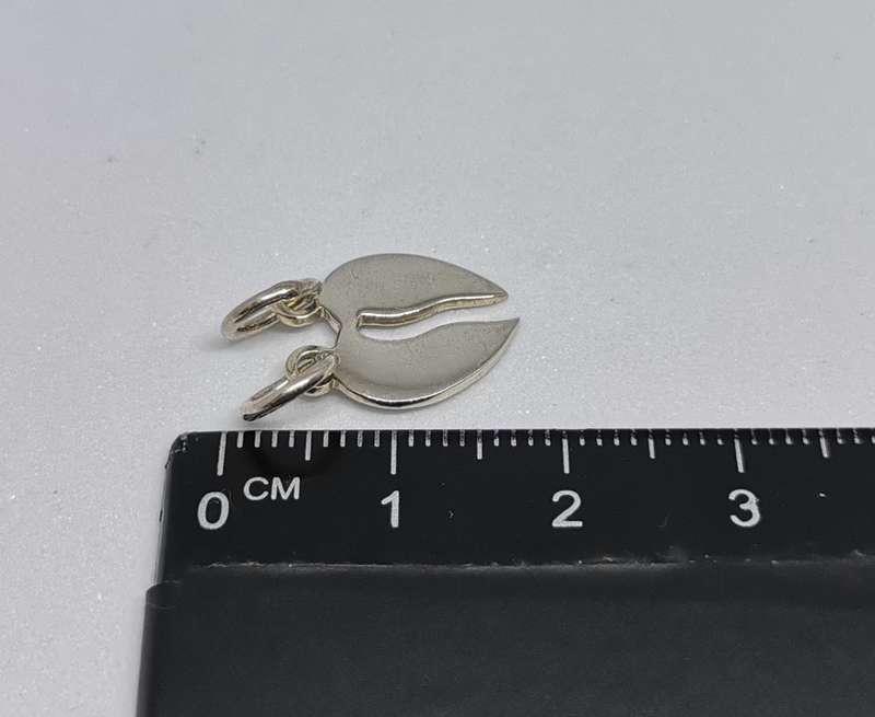 Silver Share with Partner Charm