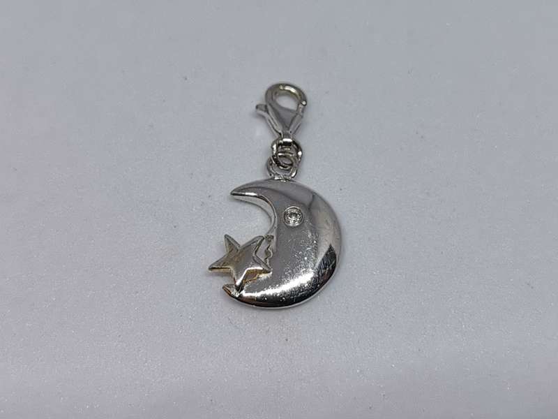 Silver Moon Charm