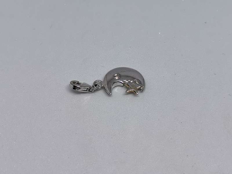 Silver Moon Charm