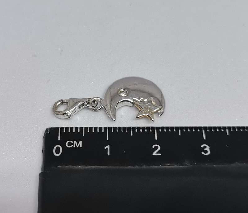 Silver Moon Charm