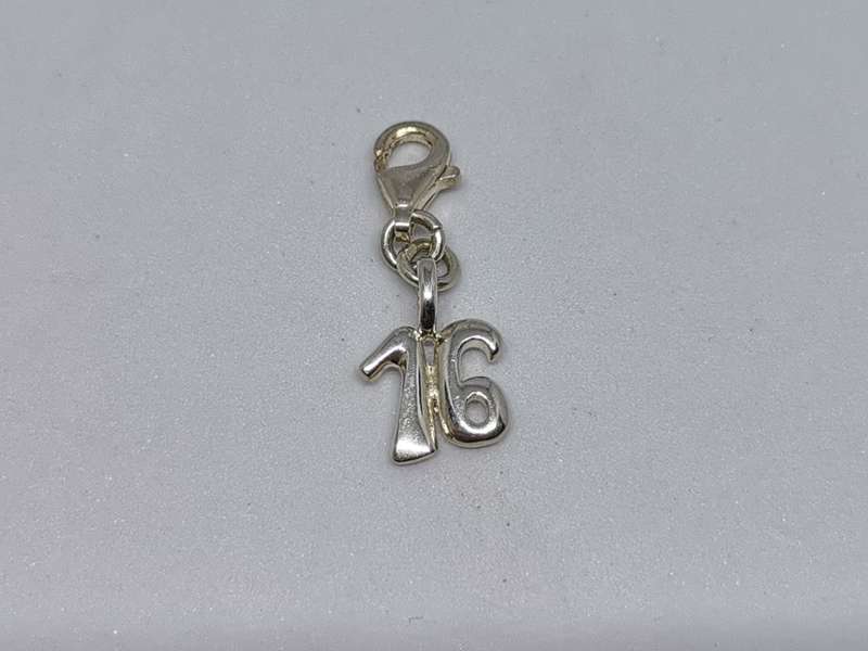*R1 Auction* Silver Sweet Sixteen Charm