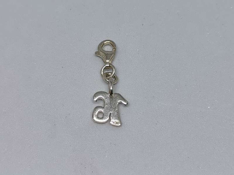 *R1 Auction* Silver Sweet Sixteen Charm