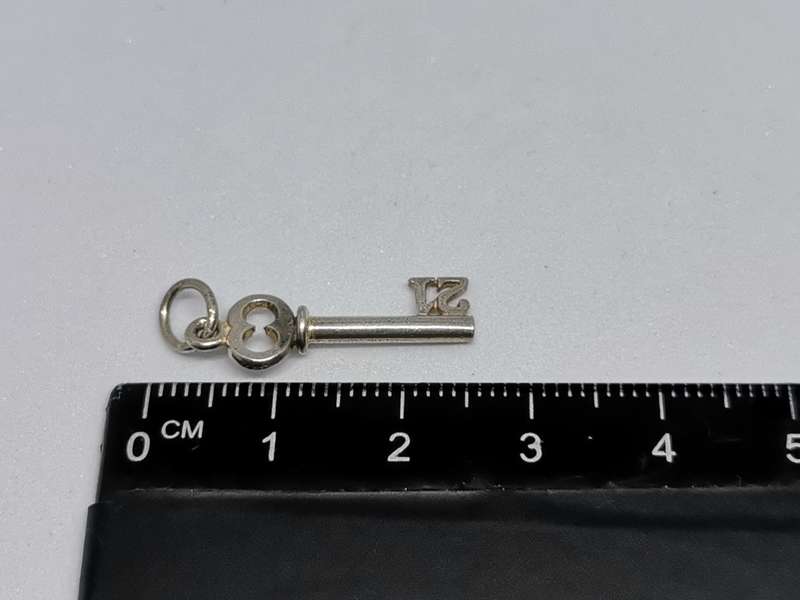 Silver 21 Key Charm