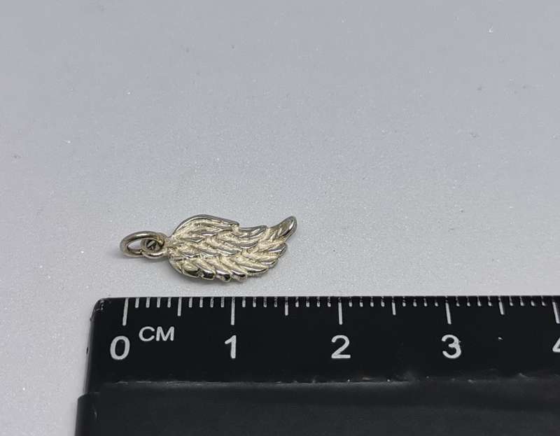 Silver Wing Charm