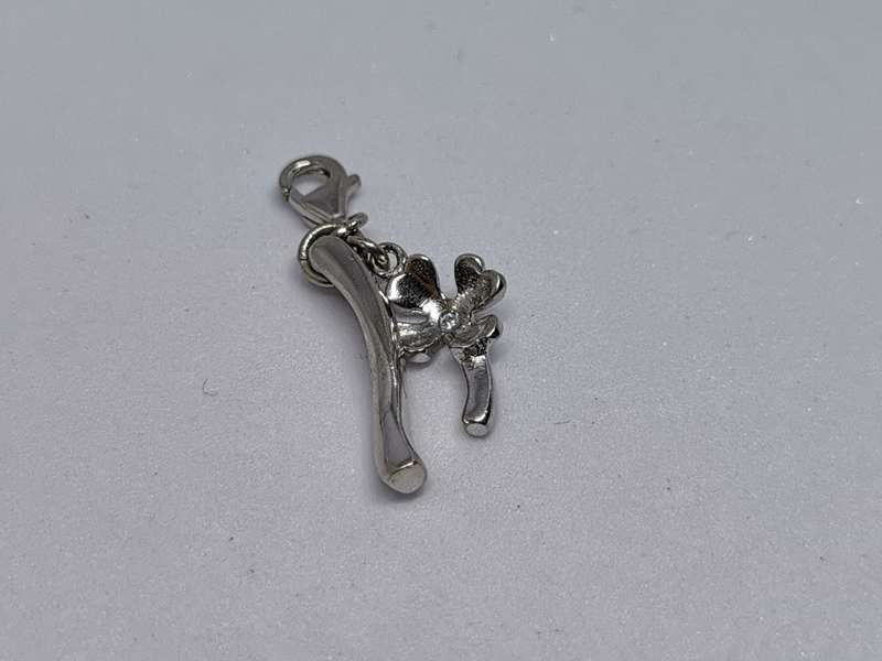 Silver Luck Charm