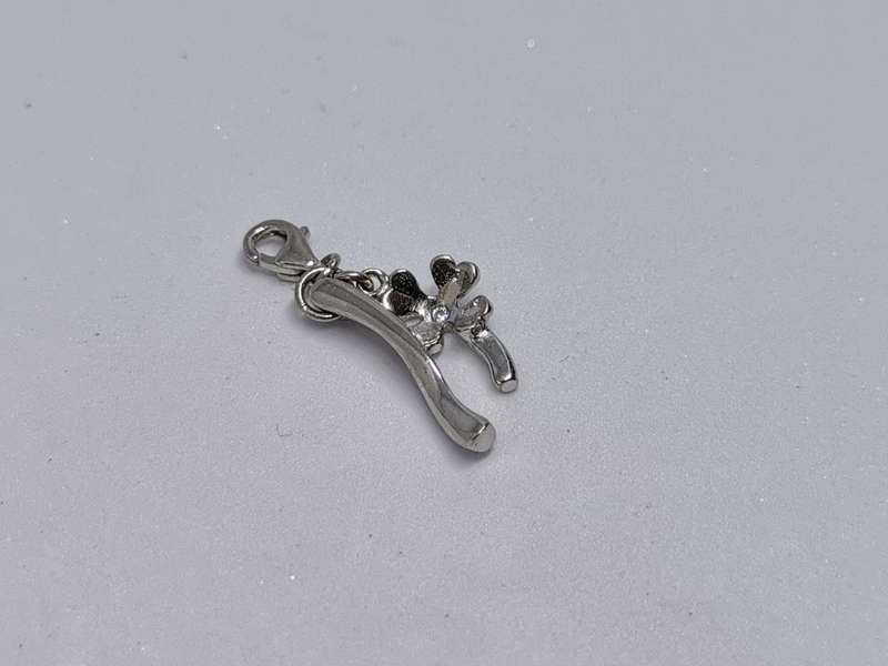 Silver Luck Charm