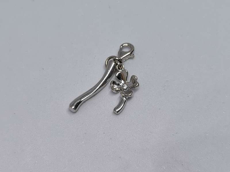 Silver Luck Charm