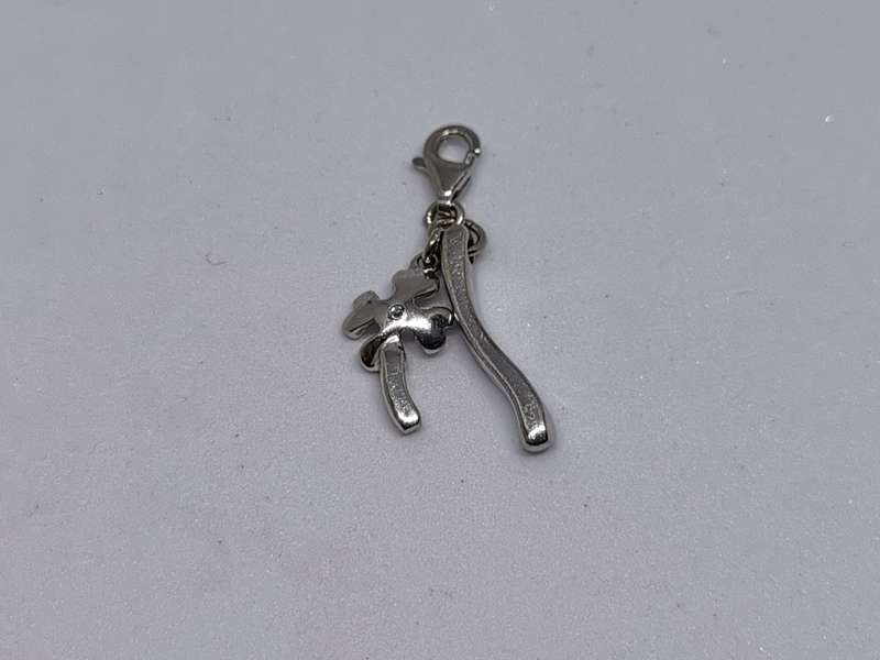 Silver Luck Charm