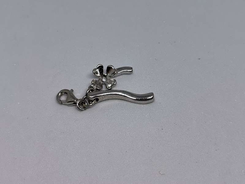 Silver Luck Charm