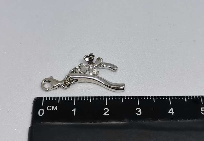 Silver Luck Charm