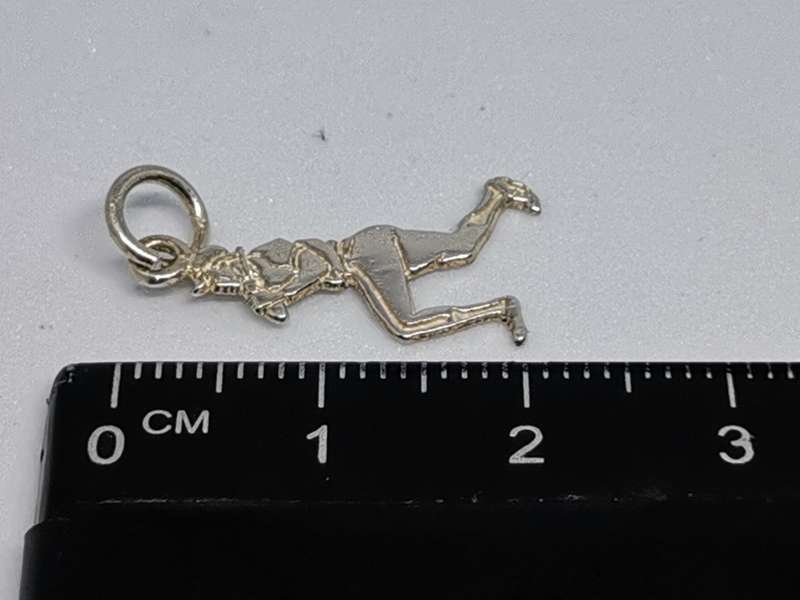 Silver Hunter Charm
