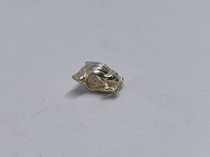 Silver Frog Charm