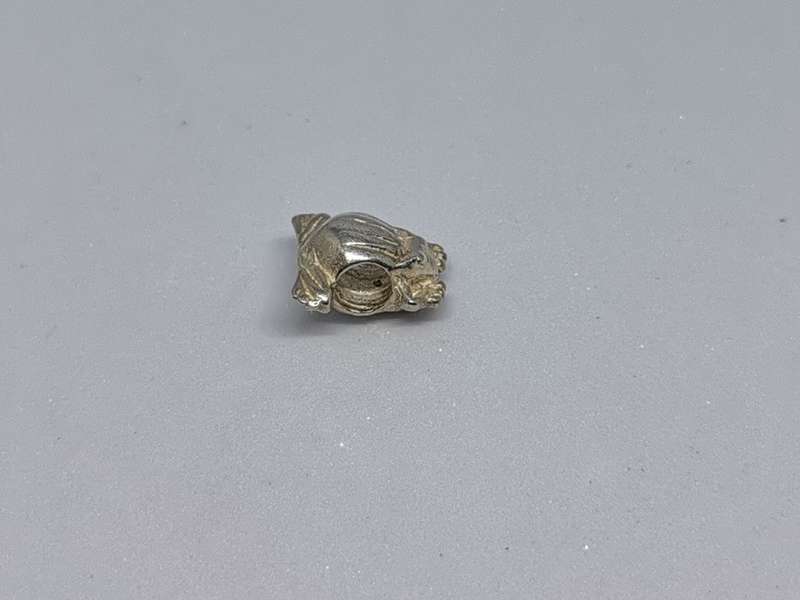 Silver Frog Charm