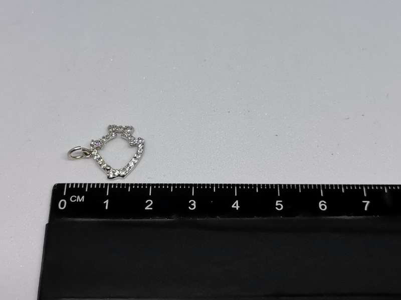 Silver Fish Charm