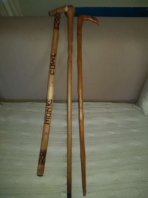 3 WALKING STICKS