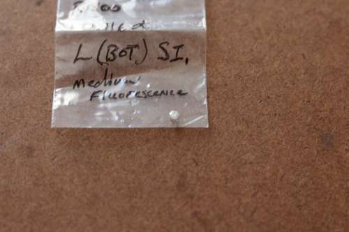 Round Brilliant Cut 0.116 ct Diamond [Certified]