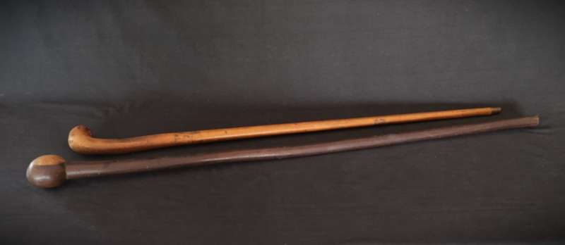 His and Hers Walking Sticks