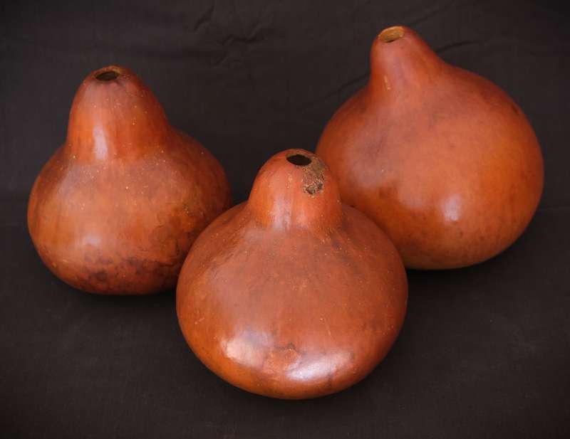 Trio of Gourds