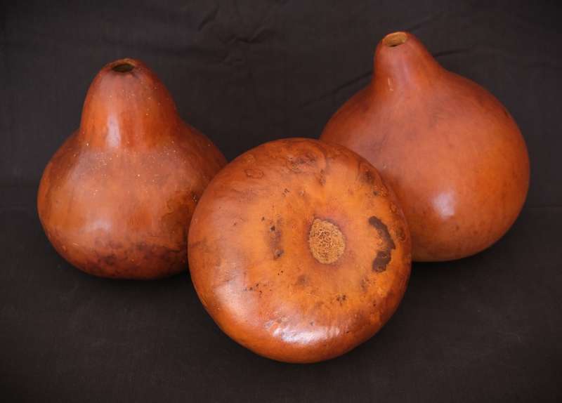 Trio of Gourds