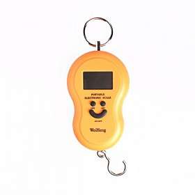 Portable Backlight Electronic Hanging Weighing Scale with Hook 40kgx10g