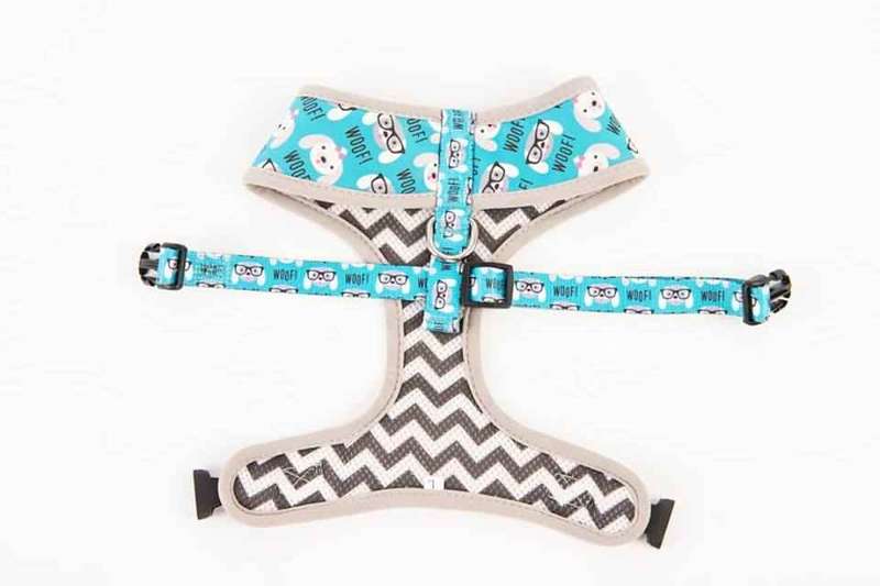 Taffy 2-in-1 Doggy Harness With Leash