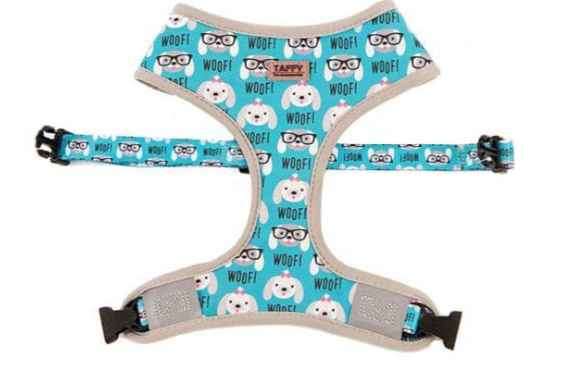 Taffy 2-in-1 Doggy Harness With Leash