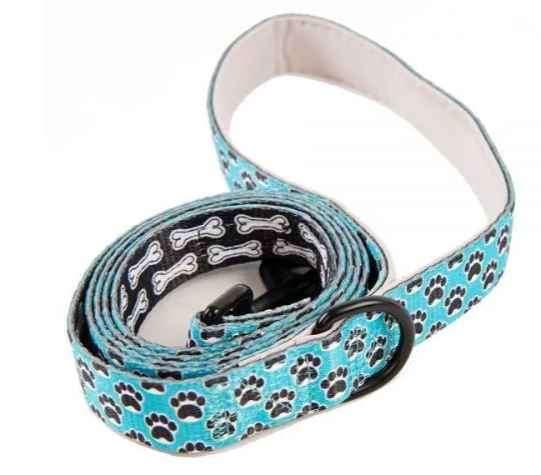 Taffy 2-in-1 Doggy Harness With Leash