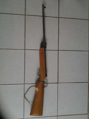 PELLET GUN