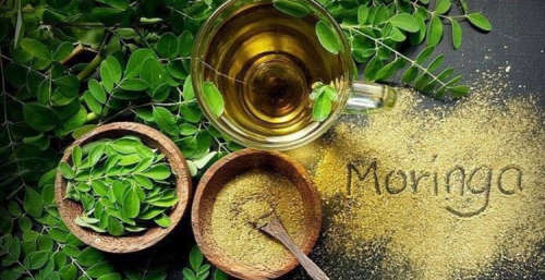Moringa Seeds : Bulk , 1 Kg