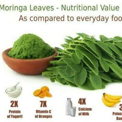 Bulk Moringa Seeds ( 1 Kg Moringa Seeds )