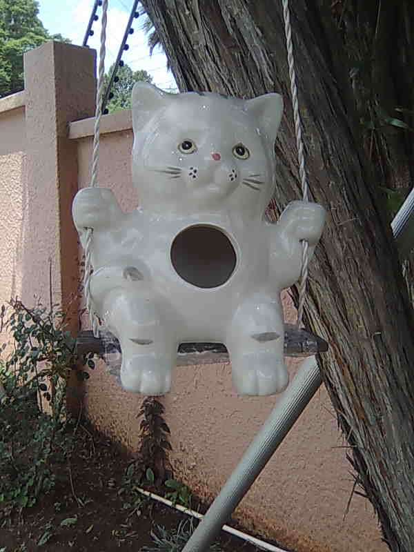 CAT BIRD FEEDER