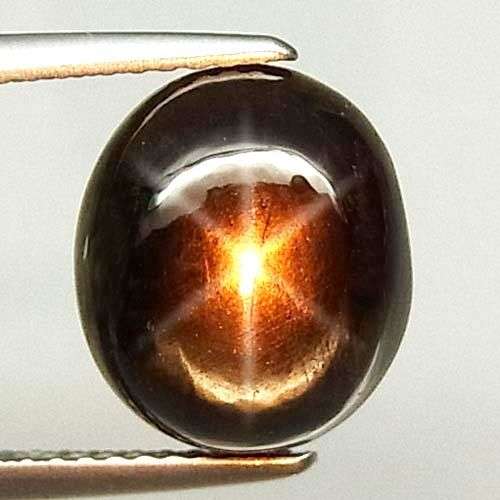 SAPPHIRE 13.56ct 100% NATURAL AA+ 6 RAY BLACK STAR- FREE VALUATION