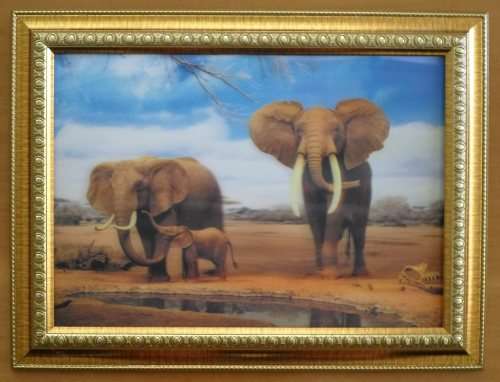 3D Lenticicular Elephant Family Printed Picture